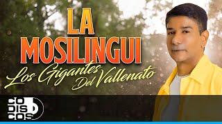 La Mosilingui Los Gigantes Del Vallenato - Video