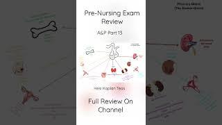 Pre- Nursing Exam Review  Anatomy & Physiology Part 13