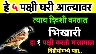 वास्तु शास्त्रामध्ये हे ५ पक्षी आल्याने करोडपती बणुन जातात नशीबवाल्यांच्या घरात येतात असे पक्षी