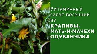 Витаминный салат из одуванчиков крапивы и мать-и-мачехи и VLOG первые цветы на даче