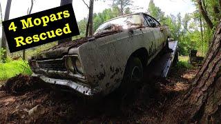 68 Road Runner Rescued from the Swamp #roadrunners #salvageyard #moparornocar #moparlife #mopars