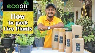 How  to Courier Live Plant  Live Plant Packaging  ECOON PLANTS