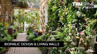 Florida Landscape Design #84  Living Walls by TruVine Design  Delray Beach Florida