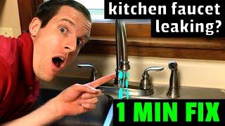 EASY FIX Kitchen Faucet Leaking? How to fix a leaky kitchen faucet in 1 minute