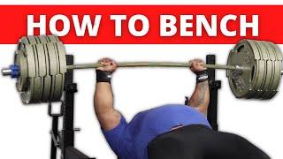 The ULTIMATE Bench Press Tutorial  Feat. Julius Maddox