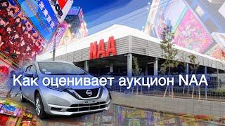 Как оценивает аукцион NAA. Перегон Nissan Note. Состояние трассы Владивосток-Хабаровск