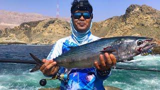 Salalah Oman Fishing Trip-SKIPJACK TUNA