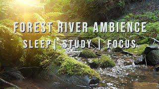 Forest River Ambience  Water Sounds For Sleep or Study