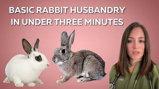 Basic Rabbit Husbandry and Care By A Vet in Under Three Minutes