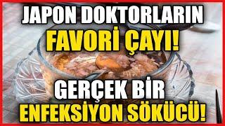 Japon Doktorların Favori Çayı Gerçek Bir Enfeksiyon Sökücü