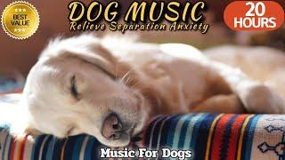 20 HOURS of Deep Sleep Dog Music & Separation anxietyDog Relaxation Musicstressed doghealingmate