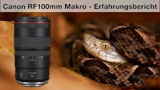 Canon RF 100mm f2.8 L IS Macro - Erfahrungsbericht aus Costa Rica