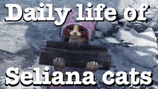 MHW Iceborne The daily lives of Seliana cats