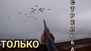 #ОХОТА НА ГУСЯ#НАРЕЗКА СТРЕЛЬБЫ ЛУЧШИХ НАЛЕТОВ#ОСЕНЬ 2021# CUTTING SHOOTING OF THE BEST GOOSE RAIDS#