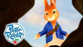 Peter Rabbit - Tales of Trouble  Rabbits Running Wild  Cartoons for Kids