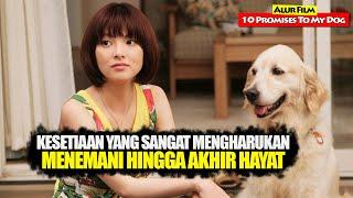 Kisah Yang Mengharukan Dari Persahabatan Manusia & Anjing  Alur Cerita Film 10 PROMISES TO MY DOG