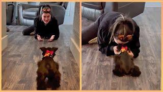 New Puppy Surprise Compilation 2024  Wholesome Surprise Moments