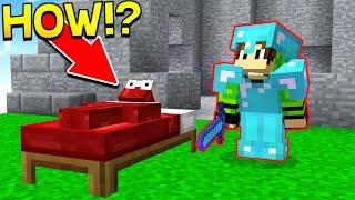INVISIBLE BED WARS TROLLING Minecraft Bed Wars