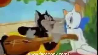 Zhalla Bobhata comedy video by cat--New Marathi Film 2017 Zala Bobhata  Zhala Bobhata