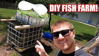 DIY Fish Farming How To