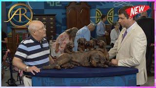 Antiques Roadshow 2024  Antiques Roadshow US  Antiques Roadshow Full Episodes