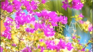 Relaxing Piano Music  Study Piano Music  Piano  For Stress Relief  Music For Studing