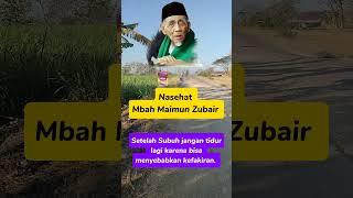 nasehat mbah maimun Zubair #nasehatmbahmaimun