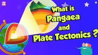 What Is Pangaea & Plate Tectonic?  CONTINENTAL DRIFT  The Dr Binocs Show  Peekaboo Kidz