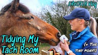 TIDYING MY TACK ROOM  LifeOTLR