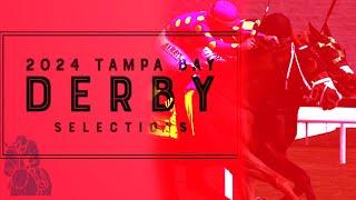 2024 Tampa Bay Derby - Top Pick Selections In Order