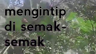 Main di semak-semak