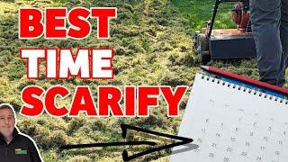 How and when should you scarify a lawn  Beginners guide