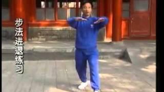 Yao Chengrong _ classical Chinese Yiquan 1