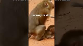 monkey vs kids