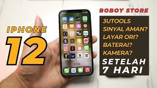 Review Iphone 12 Boboy Store Setelah 7 Hari + Cek 3utools & Tips Beli Bekas Inter Iphone