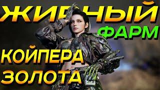 ЛУЧШИЙ ФАРМ В THE FIRST DESCENDANT