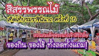 สีสรรพรรณไม้ เทิดไท้บรมราชินีนาถ ครั้งที่ 16 ของกิน ของใช้ ทั้งลดทั้งแถม 9-14 ส.ค. 67