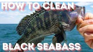 How To Clean Black Seabass To Grill