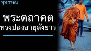 พุทธวจน พระตถาคตทรงปลงอายุสังขาร อ่านโดยภิกขุเอเอ อธิจิตฺโต