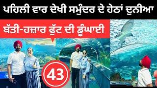 ਪਹਿਲੀ ਵਾਰ ਦੇਖੀ ਸਮੁੰਦਰ ਦੇ ਹੇਠਲੀ ਦੁਨੀਆ Aquarium Canada  Punjabi Travel Couple  Ripan Khushi