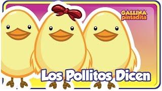 Los Pollitos Dicen - Gallina Pintadita - Oficial - Canciones infantiles para niños y bebés