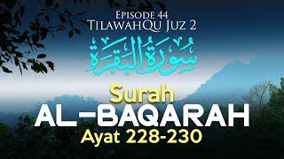 TilawahQu Surah Al-Baqarah Ayat 228-230 Episode 44