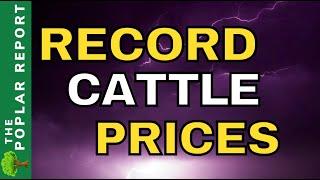 BEEF Prices Skyrocketing - Beef Herd At RECORD Lows