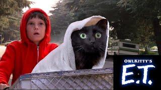 When you take your cat to the vet E.T. + my cat OwlKitty