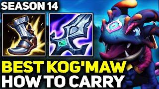 How to Carry 1v9 KogMaw Gameplay  - RANK 1 BEST KOGMAW IN THE WORLD  Season 14 League of Legends