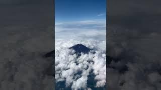 Black Summer Mt. Fuji #shorts