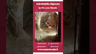 Admirabile Signum -  by Pro Loco Nicosia #telenicosia#presepe #natale2023 #natale #reels #shorts