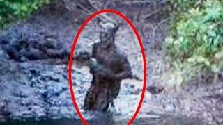 Asli Bhoot  5 Scariest Ghost Video Youve NEVER seen  Scary Comp 8