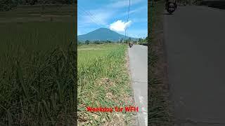 Beautiful View in Nature #subscribe #shortvideo #shortviral #viralvideo