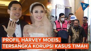 Profil Harvey Moeis Suami Sandra Dewi yang Ditetapkan Jadi Tersangka Korupsi Kasus Timah